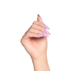 Discoteca Kiss - 7ML